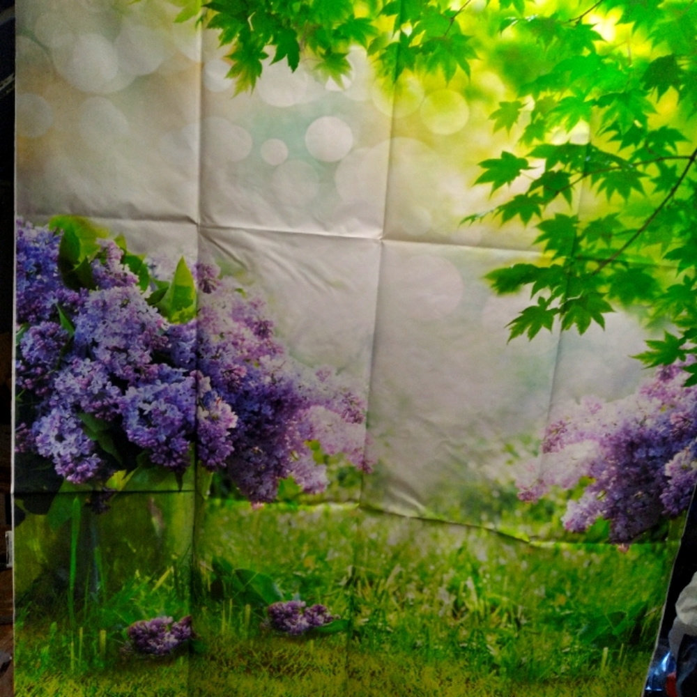 Photo Backdrop